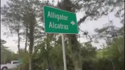 South Florida organizations urge Miami-Dade leaders to sue state over ‘Alligator Alcatraz’